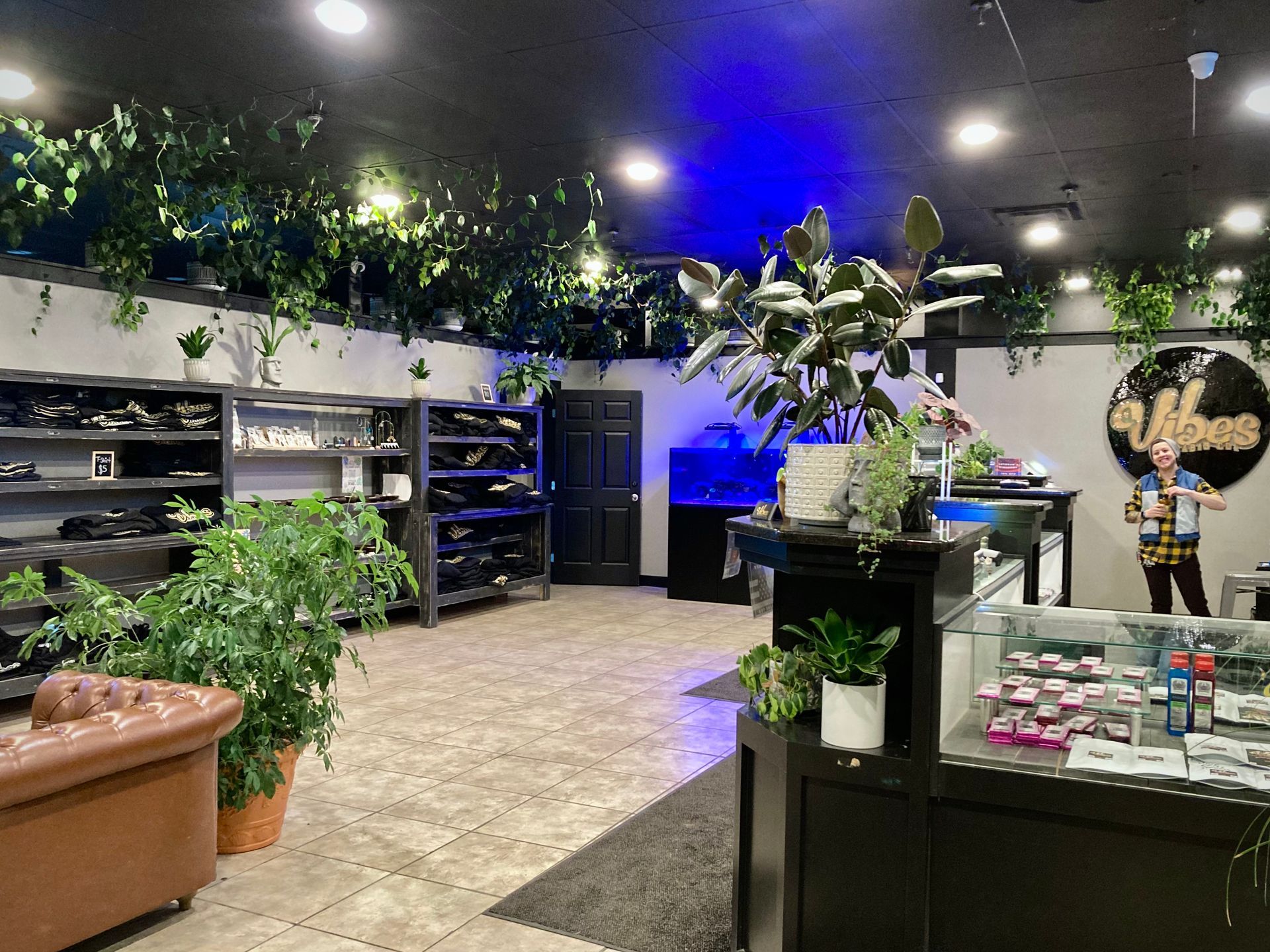 Vibes Cannabis Co showroom in Bangor, Maine with hanging plants, leather couch, and merch shelves